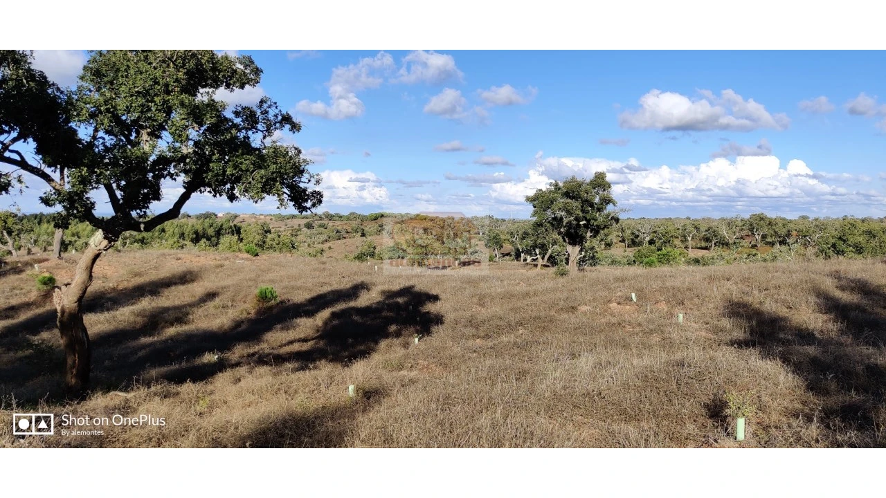 Terreno Agricola ou Rústico para Venda em Grândola e Santa Margarida da Serra Foto 7