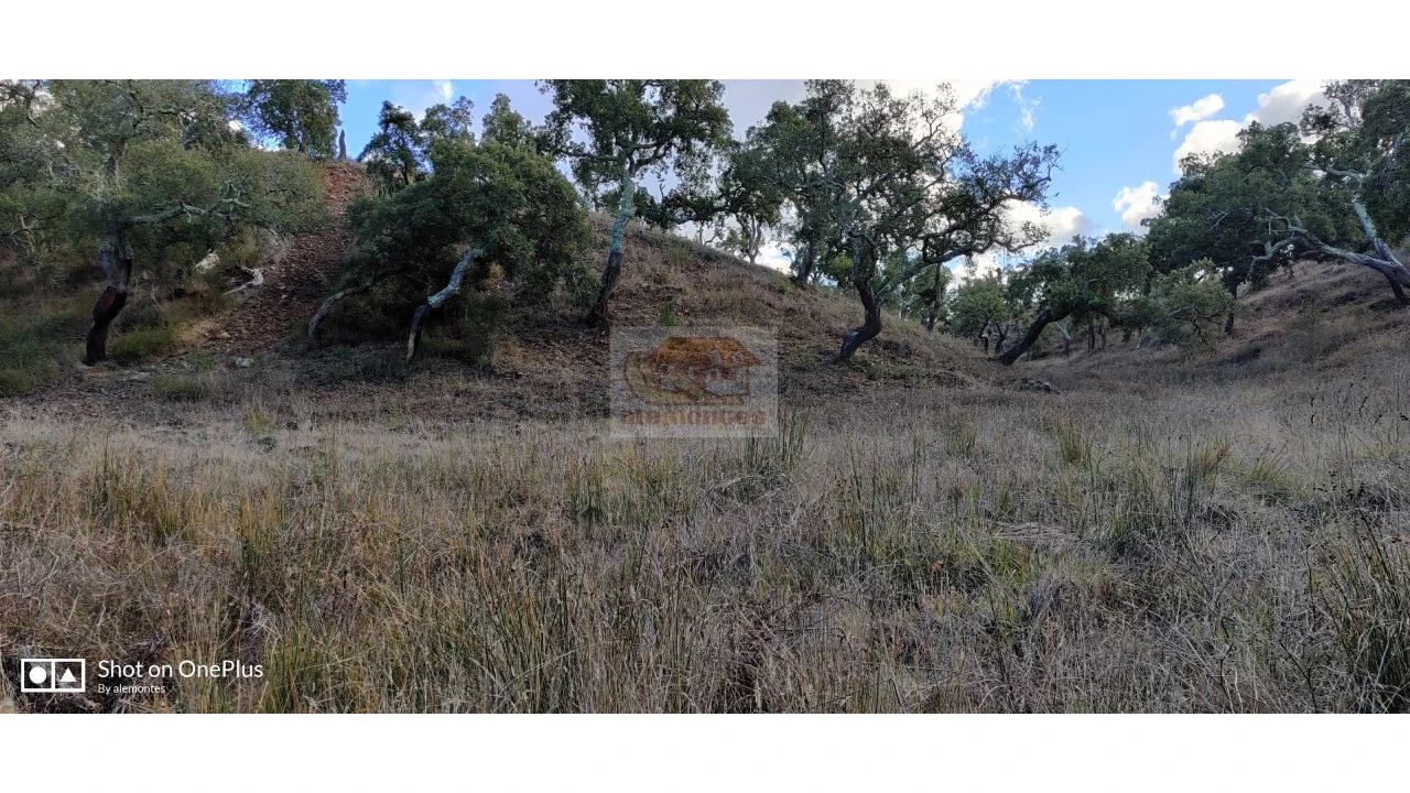 Terreno Agricola ou Rústico para Venda em Grândola e Santa Margarida da Serra Foto 3