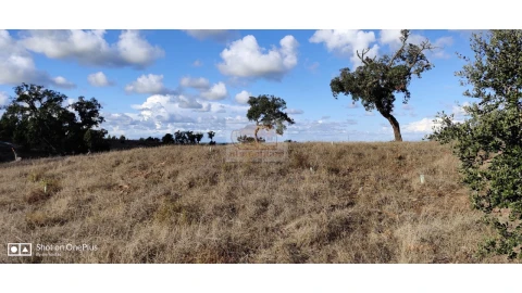 Terreno Agricola ou Rústico para Venda em Grândola e Santa Margarida da Serra