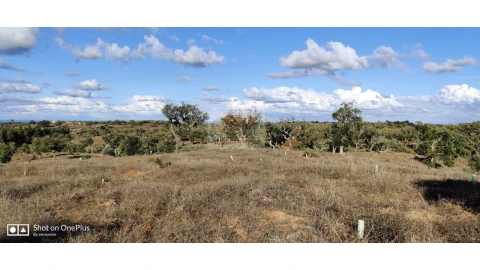 Terreno Agricola ou Rústico para Venda em Grândola e Santa Margarida da Serra