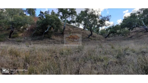 Terreno Agricola ou Rústico para Venda em Grândola e Santa Margarida da Serra