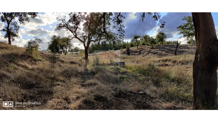 Terreno Agricola ou Rústico para Venda em Grândola e Santa Margarida da Serra Foto 8