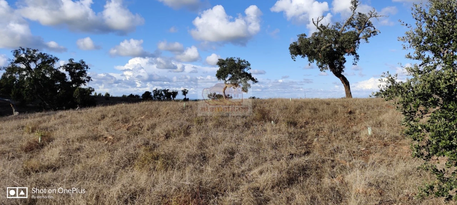 Terreno Misto para Venda em Grândola e Santa Margarida da Serra Foto 9