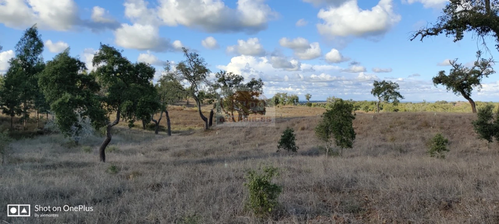 Terreno Misto para Venda em Grândola e Santa Margarida da Serra Foto 11