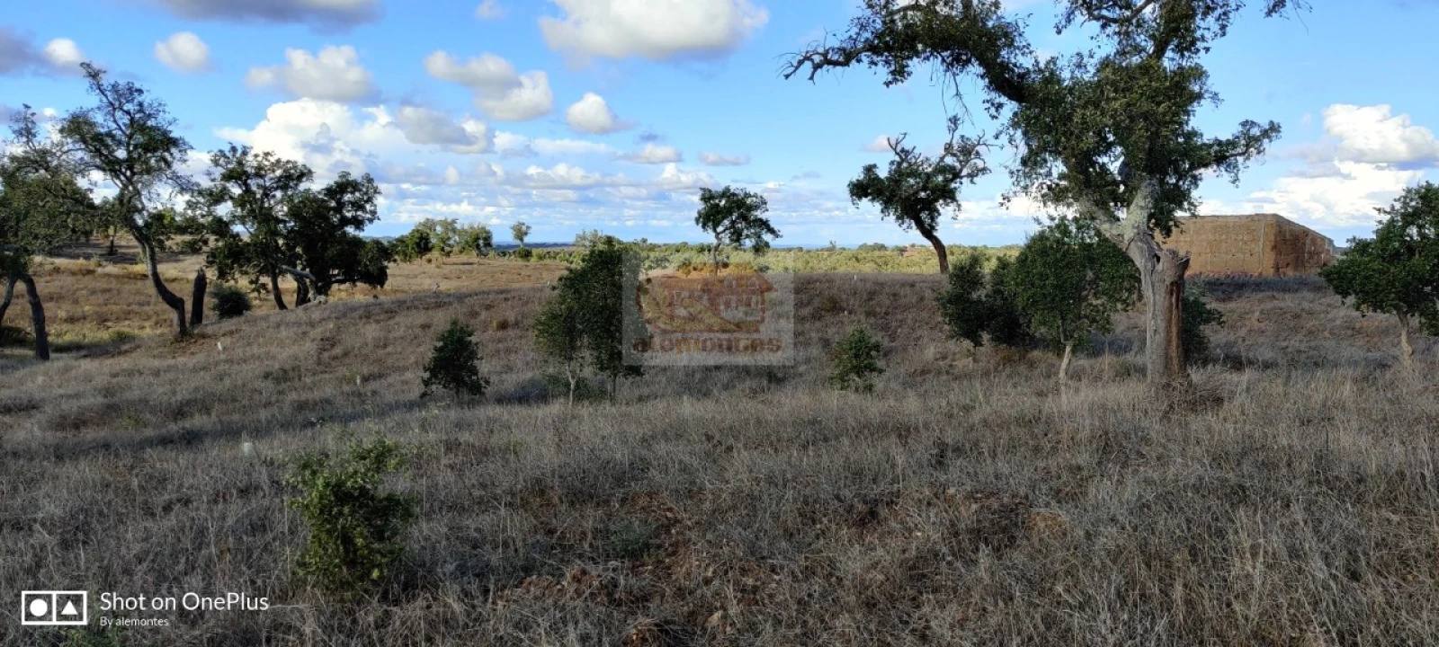 Terreno Misto para Venda em Grândola e Santa Margarida da Serra Foto 12