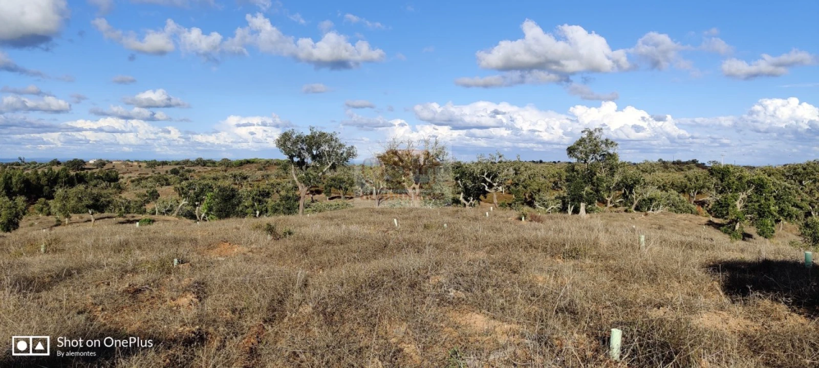 Terreno Misto para Venda em Grândola e Santa Margarida da Serra Foto 14