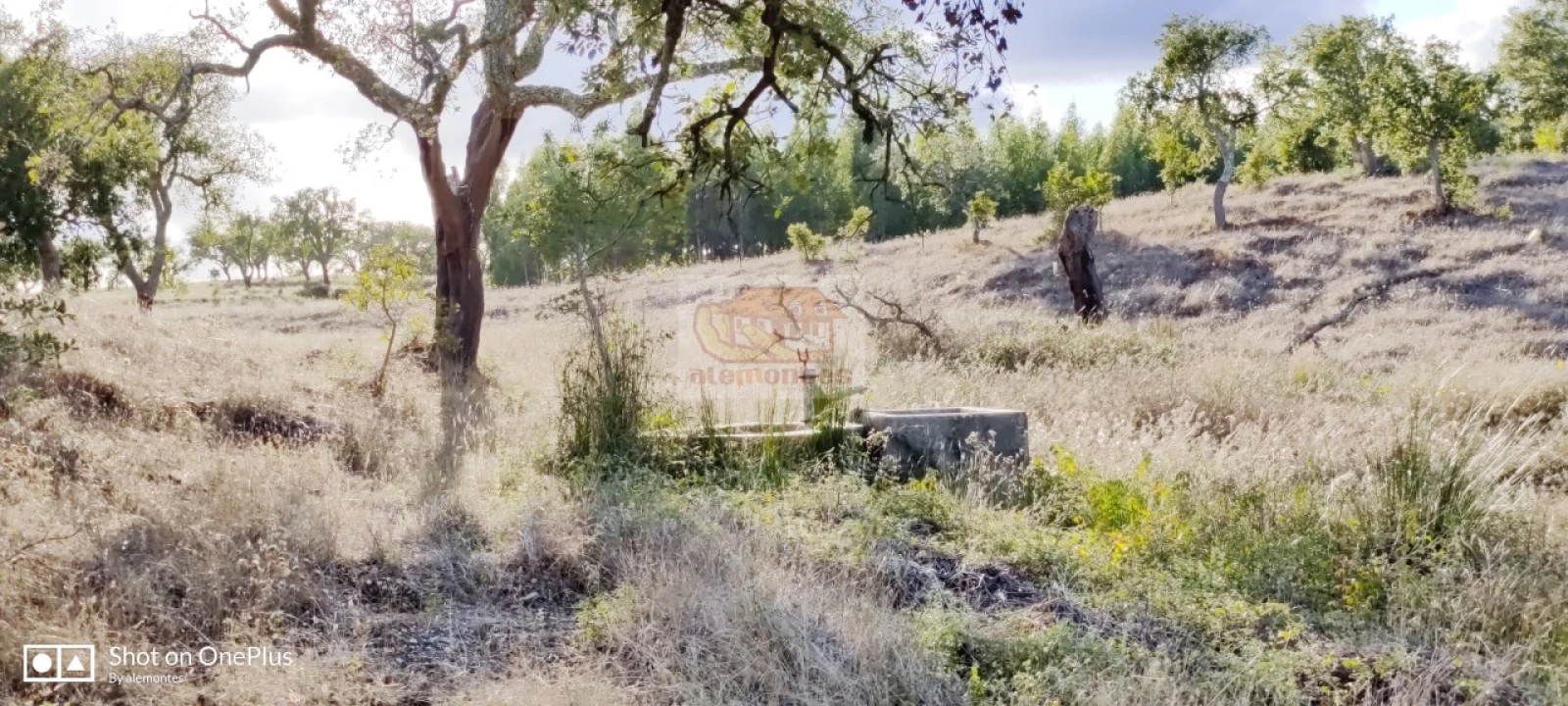 Terreno Misto para Venda em Grândola e Santa Margarida da Serra Foto 15