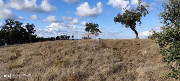 Terreno Misto para Venda em Grândola e Santa Margarida da Serra