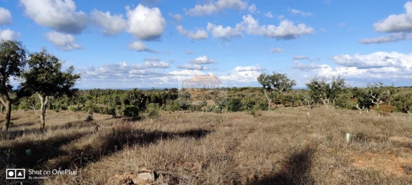 Terreno Misto para Venda em Grândola e Santa Margarida da Serra