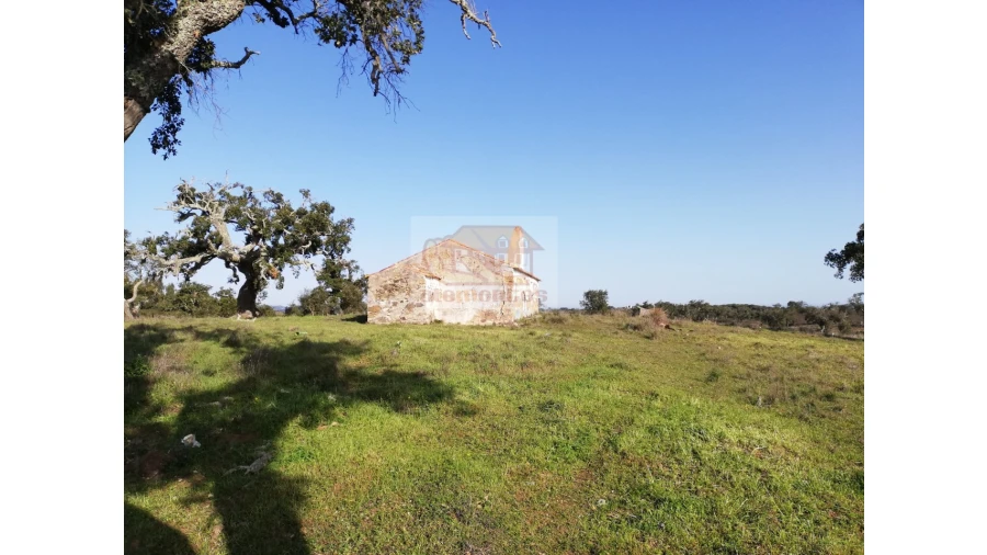 Terreno Misto para Venda em Grândola e Santa Margarida da Serra Foto 3