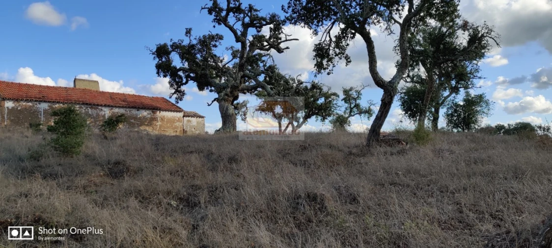 Terreno Misto para Venda em Grândola e Santa Margarida da Serra Foto 10