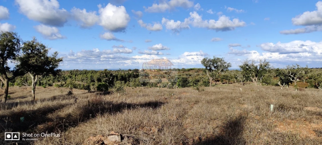 Terreno Misto para Venda em Grândola e Santa Margarida da Serra Foto 13