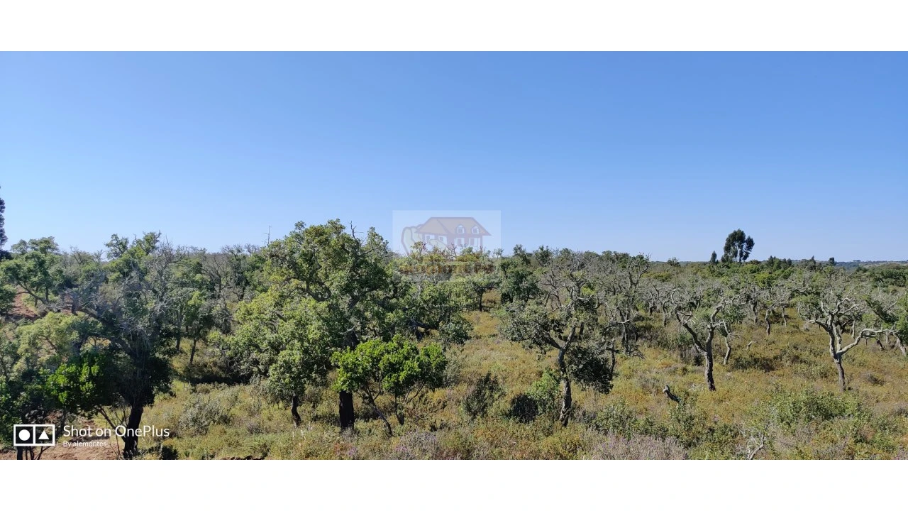 Terreno Agricola ou Rústico para Venda em São Francisco da Serra Foto 10