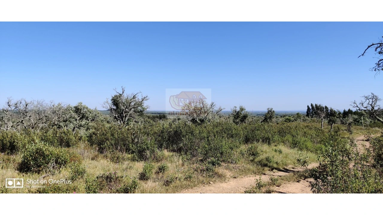 Terreno Agricola ou Rústico para Venda em São Francisco da Serra Foto 6