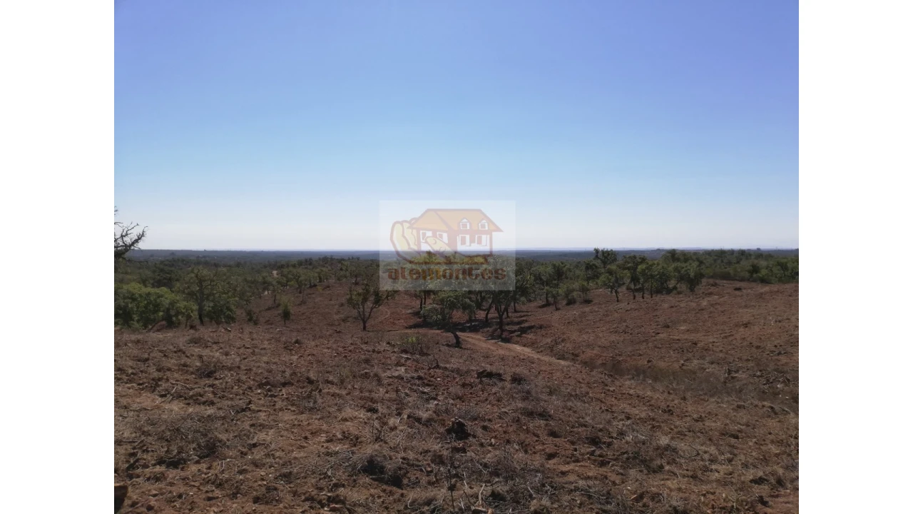 Terreno Agricola ou Rústico para Venda em São Francisco da Serra Foto 9