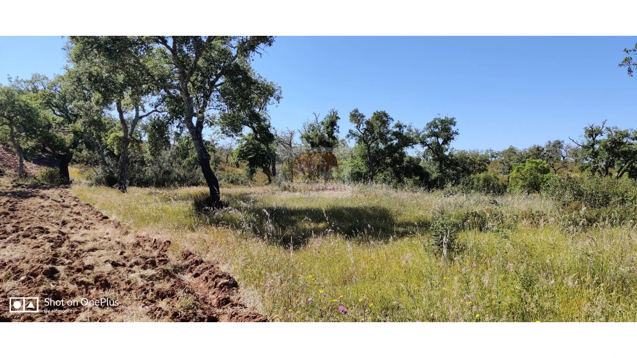 Terreno Agricola ou Rústico para Venda em São Francisco da Serra Foto 1