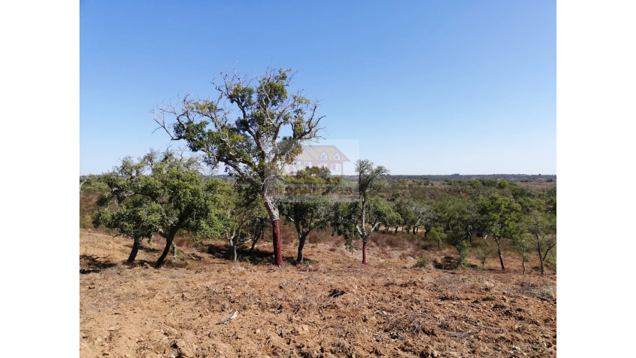 Terreno Agricola ou Rústico para Venda em São Francisco da Serra Foto 3