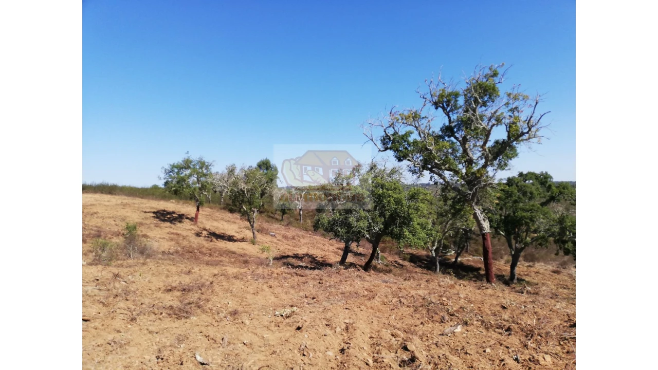 Terreno Agricola ou Rústico para Venda em São Francisco da Serra Foto 5