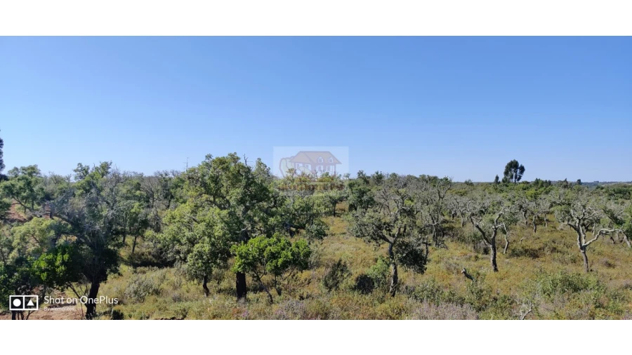 Terreno Agricola ou Rústico para Venda em São Francisco da Serra Foto 10
