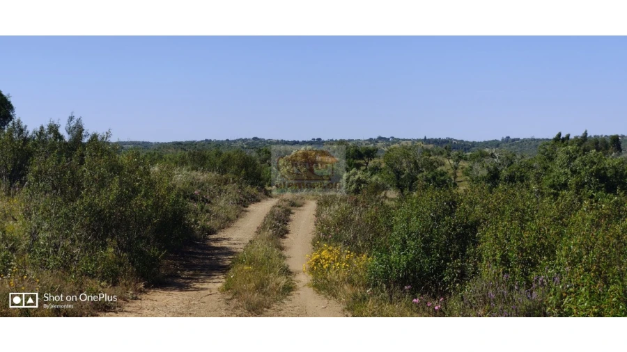 Terreno Agricola ou Rústico para Venda em São Francisco da Serra Foto 8