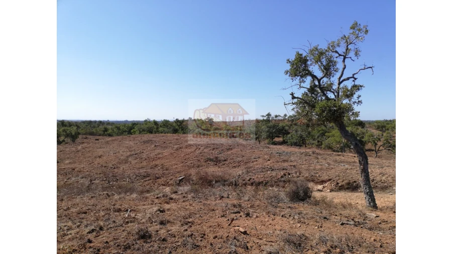 Terreno Agricola ou Rústico para Venda em São Francisco da Serra Foto 11