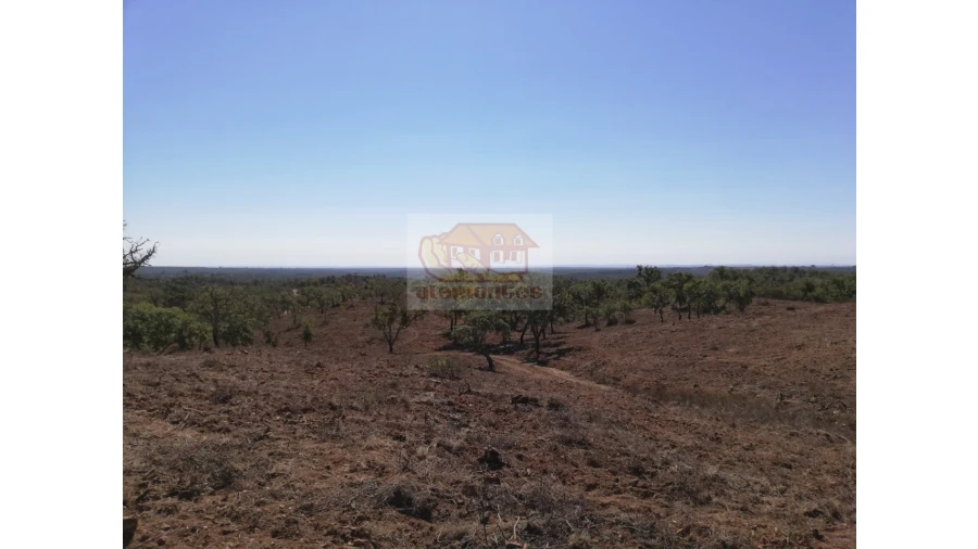 Terreno Agricola ou Rústico para Venda em São Francisco da Serra Foto 9