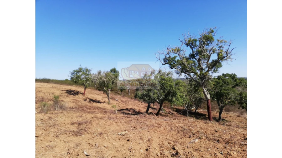 Terreno Agricola ou Rústico para Venda em São Francisco da Serra Foto 5