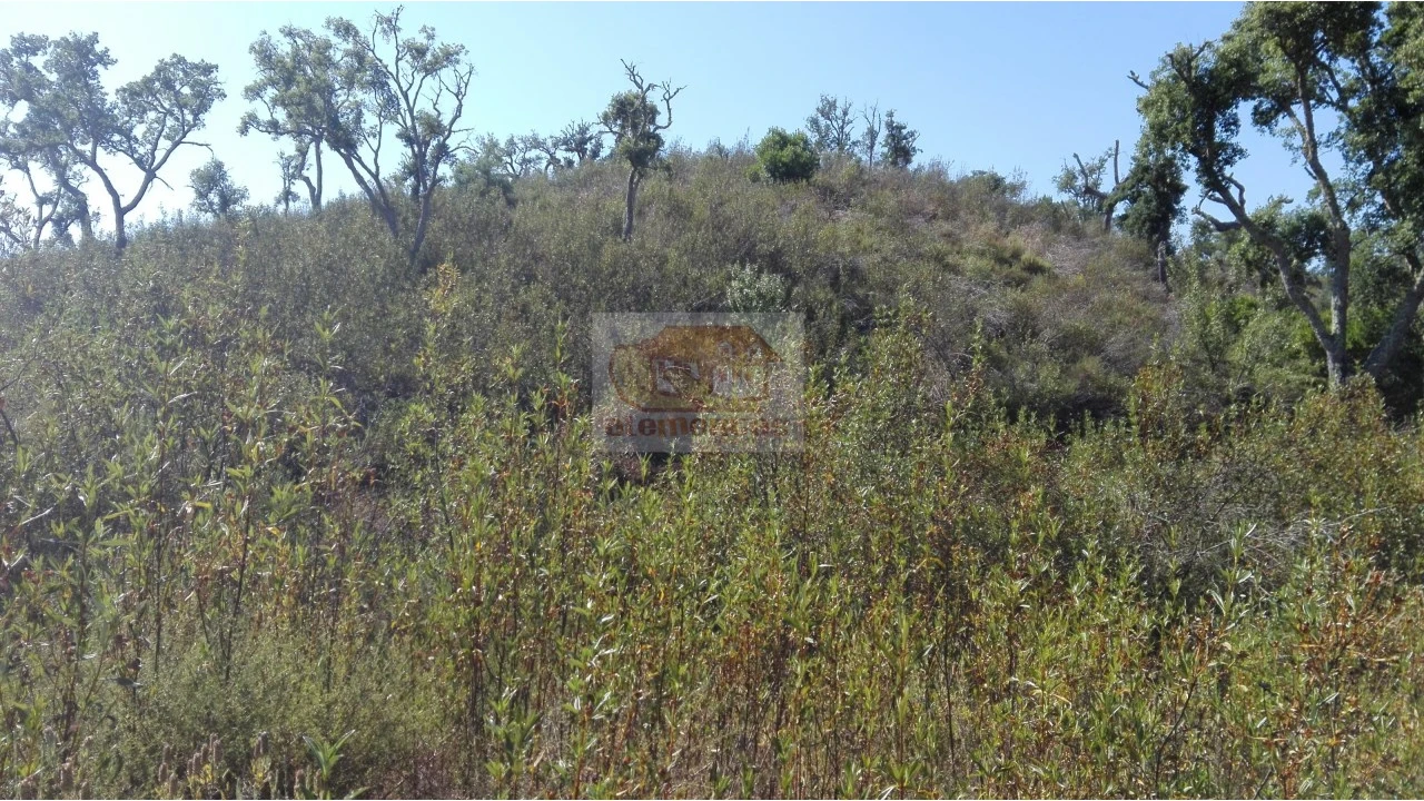 Terreno Agricola ou Rústico para Venda em Sines Foto 1