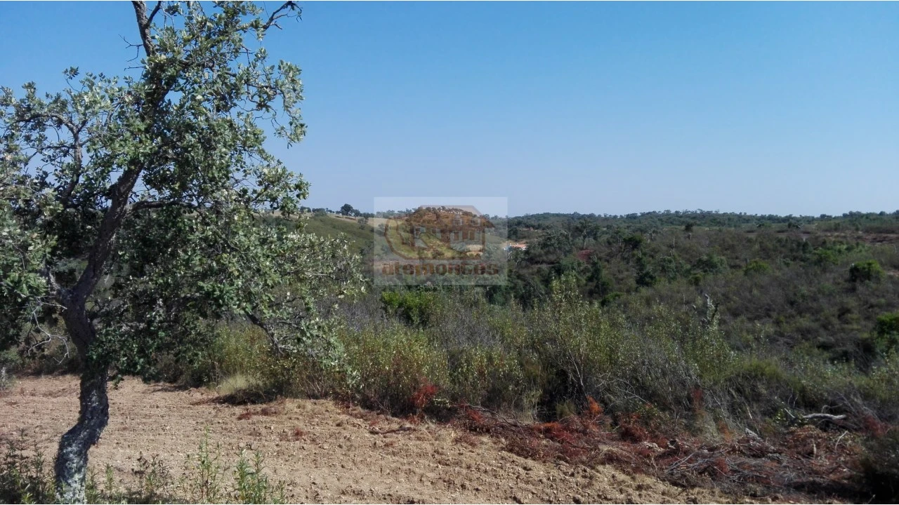 Terreno Agricola ou Rústico para Venda em Sines Foto 2
