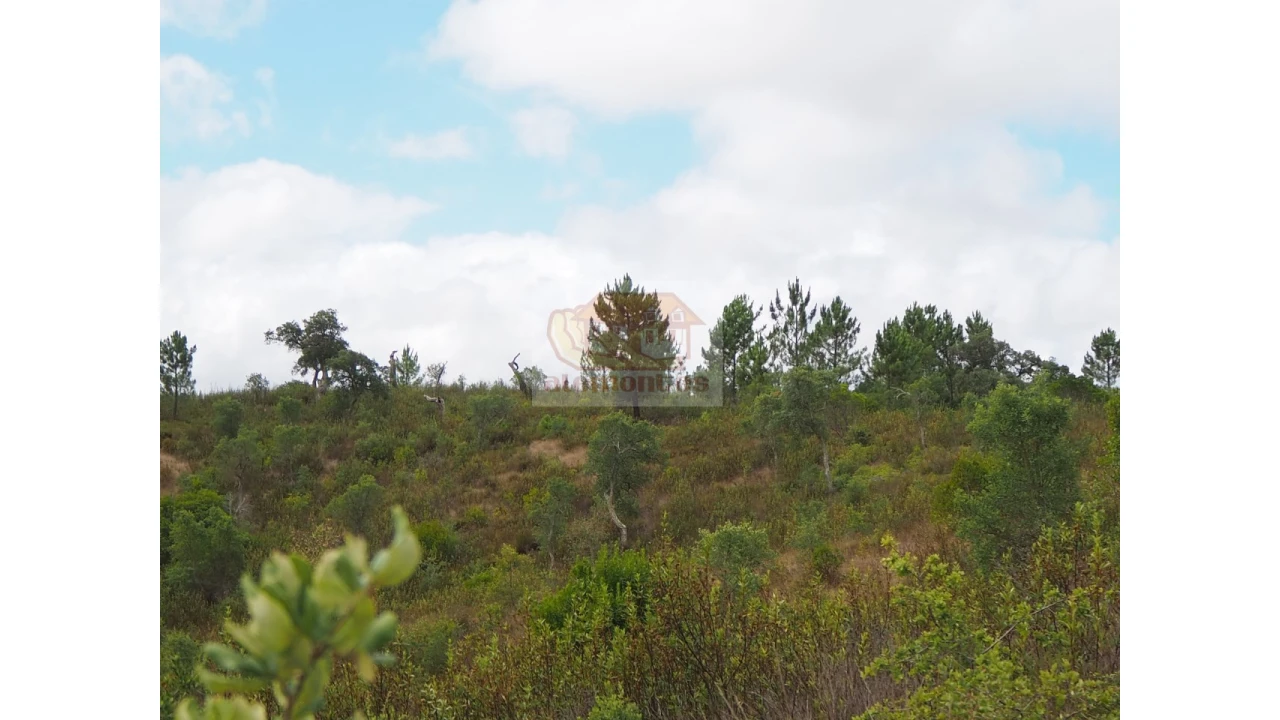 Terreno Agricola ou Rústico para Venda em Sines Foto 6