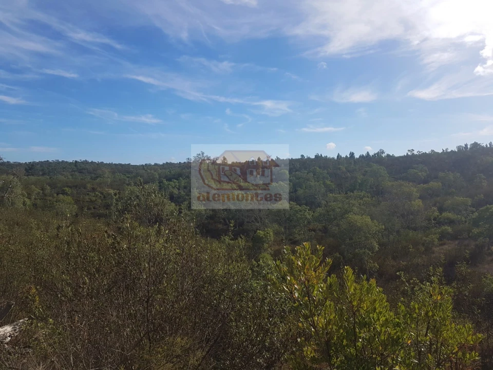 Terreno Agricola ou Rústico para Venda em Sines Foto 9