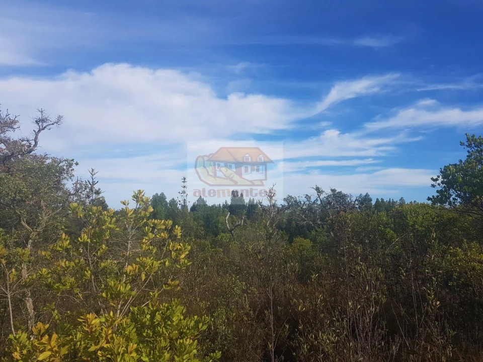 Terreno Agricola ou Rústico para Venda em Sines Foto 10