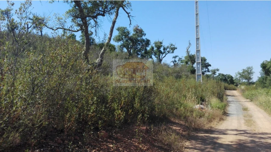 Terreno Agricola ou Rústico para Venda em Sines Foto 3