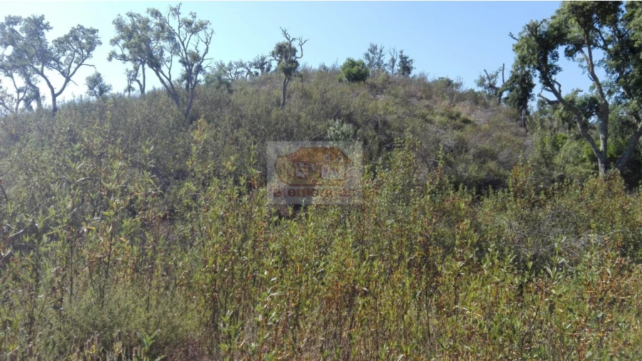 Terreno Agricola ou Rústico para Venda em Sines