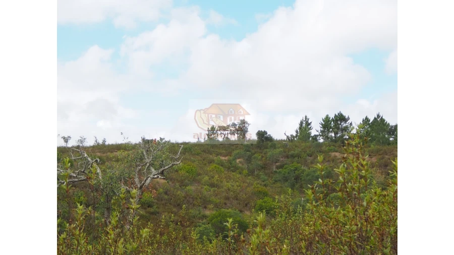 Terreno Agricola ou Rústico para Venda em Sines Foto 5