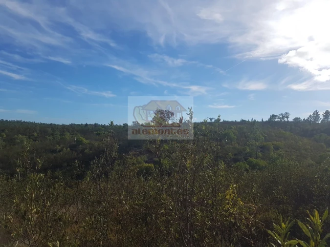 Terreno Agricola ou Rústico para Venda em Sines Foto 8