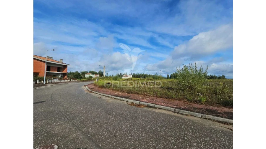 Terreno para Venda em São Pedro de Alva e São Paio de Mondego Foto 2