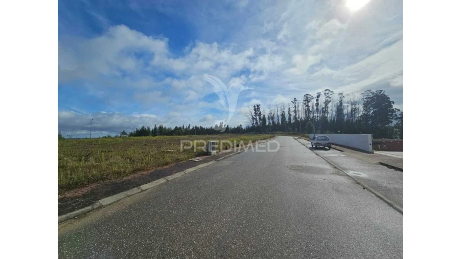 Terreno para Venda em São Pedro de Alva e São Paio de Mondego