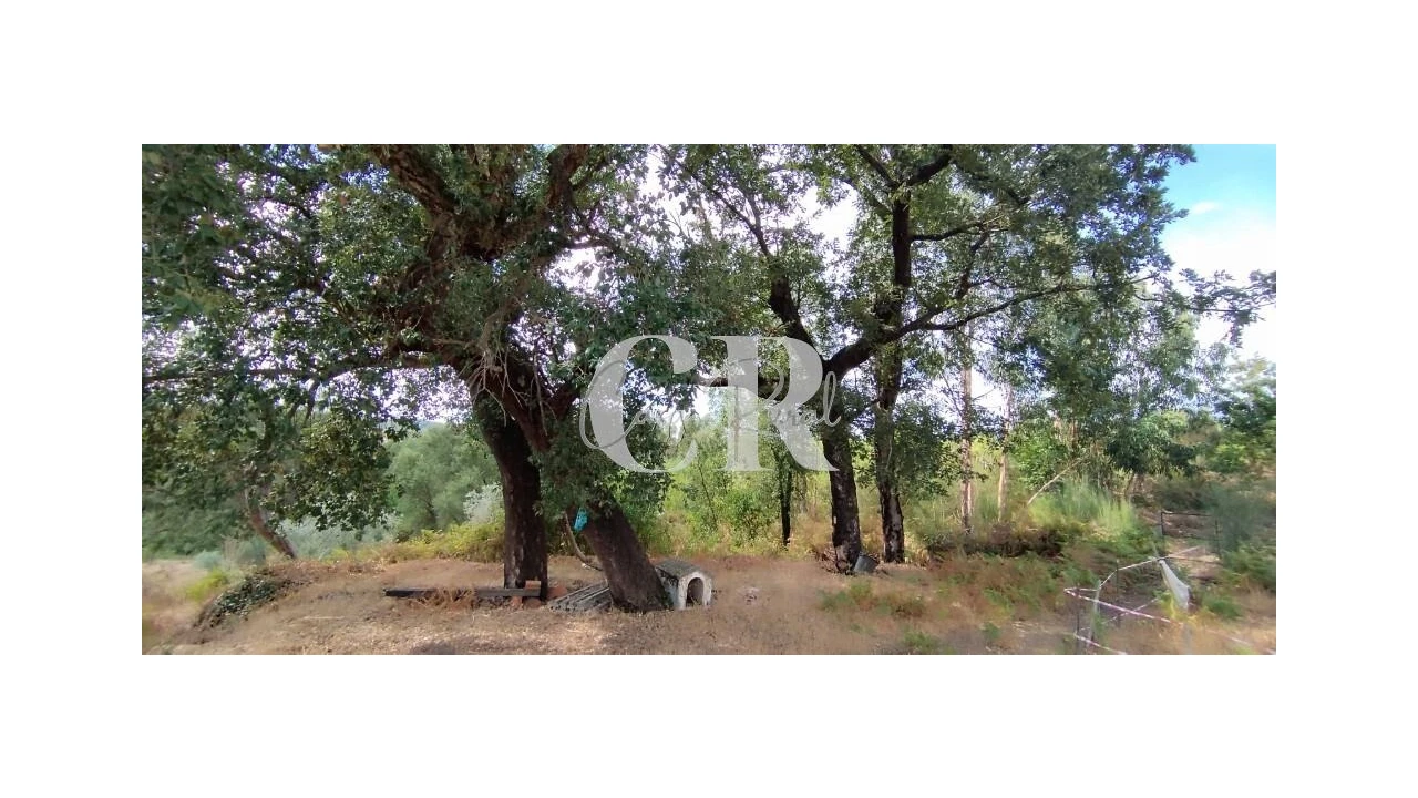 Quinta T2 para Venda em Graça Foto 20