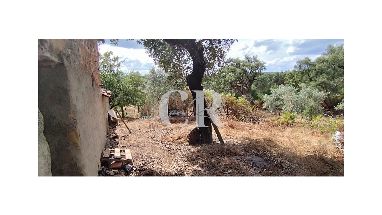 Quinta T2 para Venda em Graça Foto 21