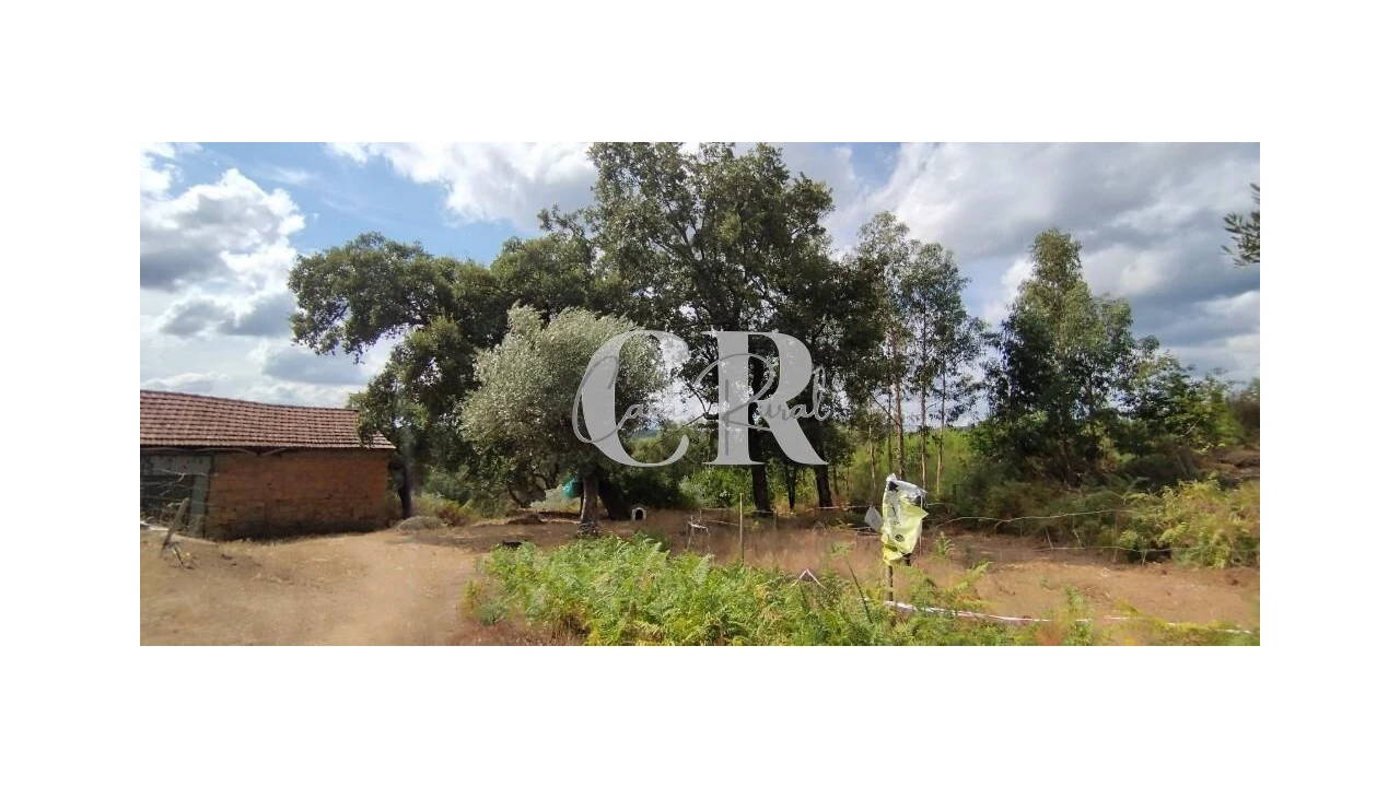 Quinta T2 para Venda em Graça Foto 5