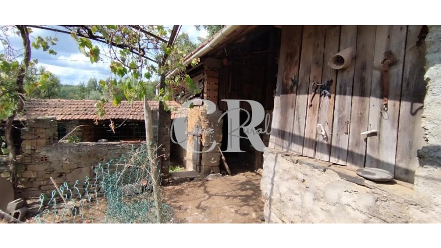 Quinta T2 para Venda em Graça Foto 17