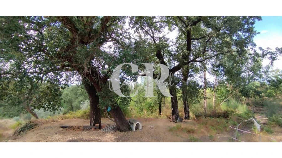 Quinta T2 para Venda em Graça Foto 20