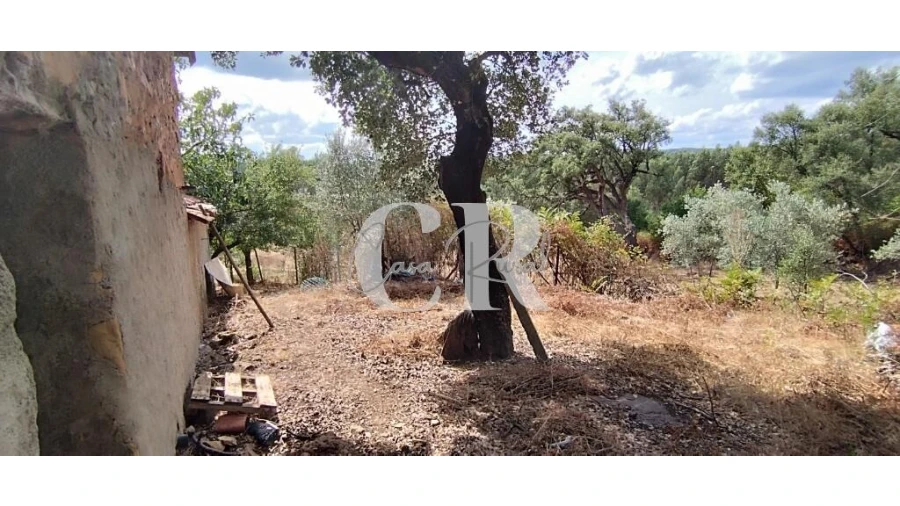 Quinta T2 para Venda em Graça Foto 21