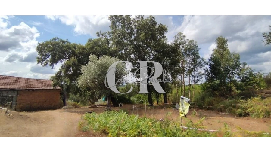 Quinta T2 para Venda em Graça Foto 5