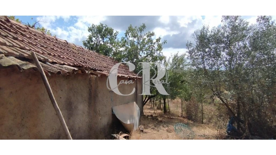 Quinta T2 para Venda em Graça Foto 19