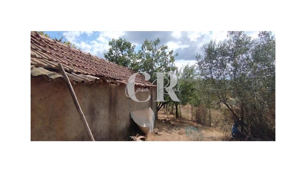 Quinta T2 para Venda em Graça Foto 19