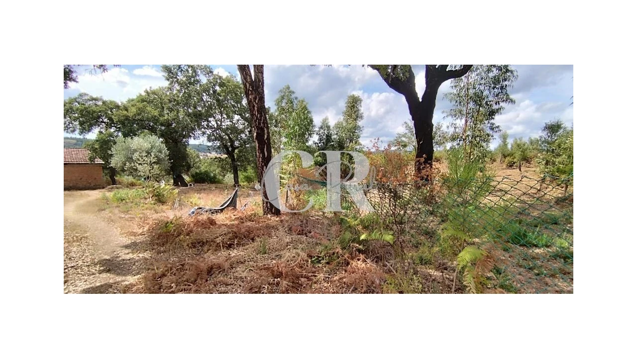 Quinta T2 para Venda em Graça Foto 4