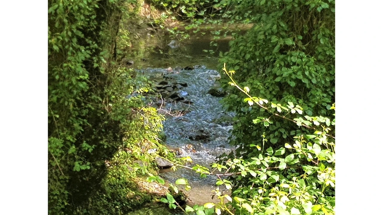 Terreno para Venda em Marmelete Foto 10