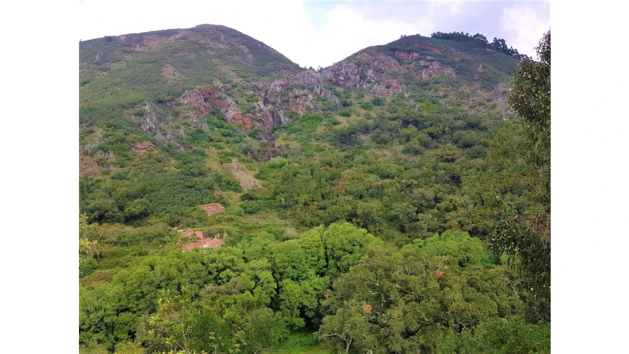 Terreno para Venda em Marmelete Foto 5